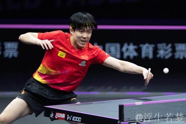 王楚钦挺进男单半决赛